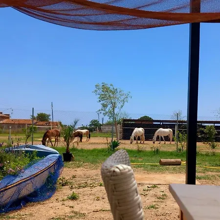 Séjour à la ferme Finca Caballito De Mar *