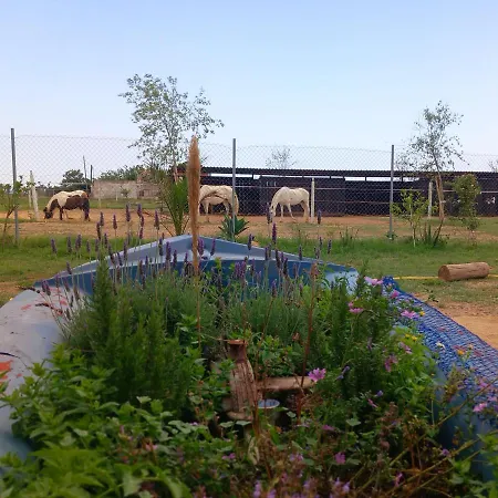 Finca Caballito De Mar בית חווה