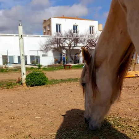 Séjour à la ferme Finca Caballito De Mar *