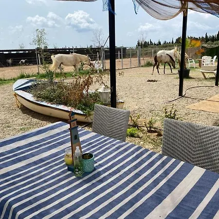 Finca Caballito De Mar מלון *