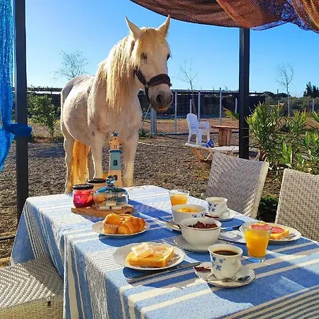 Séjour à la ferme Finca Caballito De Mar Cambrils