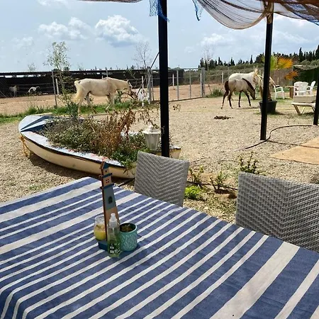 Finca Caballito De Mar Фермерский дом *