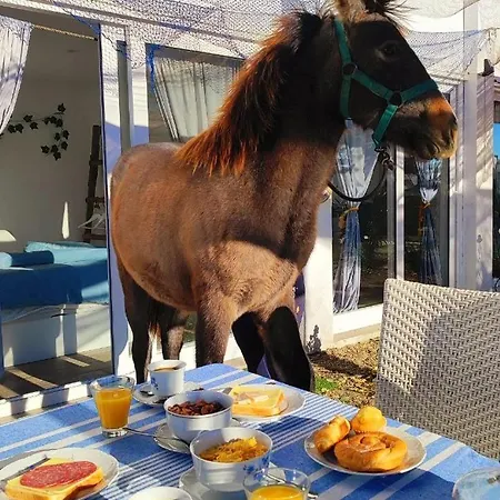 Finca Caballito De Mar Фермерский дом